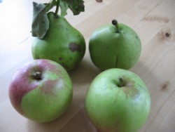 Birne und Apfel