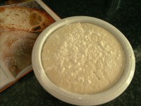 Ciabatta1