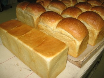 Toastbrote