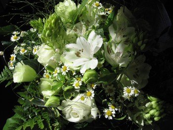 blumenstrauss