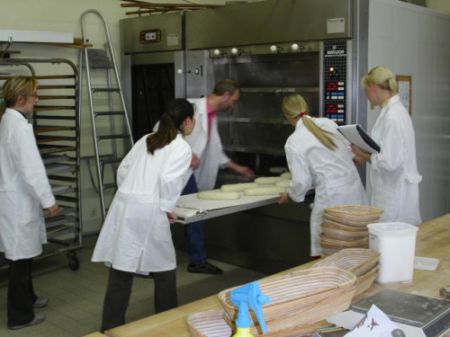 Backversuch